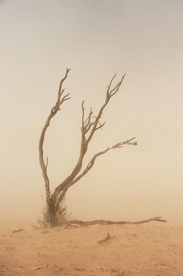 Dust Storm In The Auob Riverbed Photograph by Tony Camacho