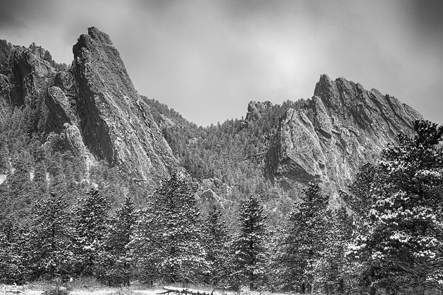 Dusted Flatiron in Black and White  Photograph by James BO Insogna