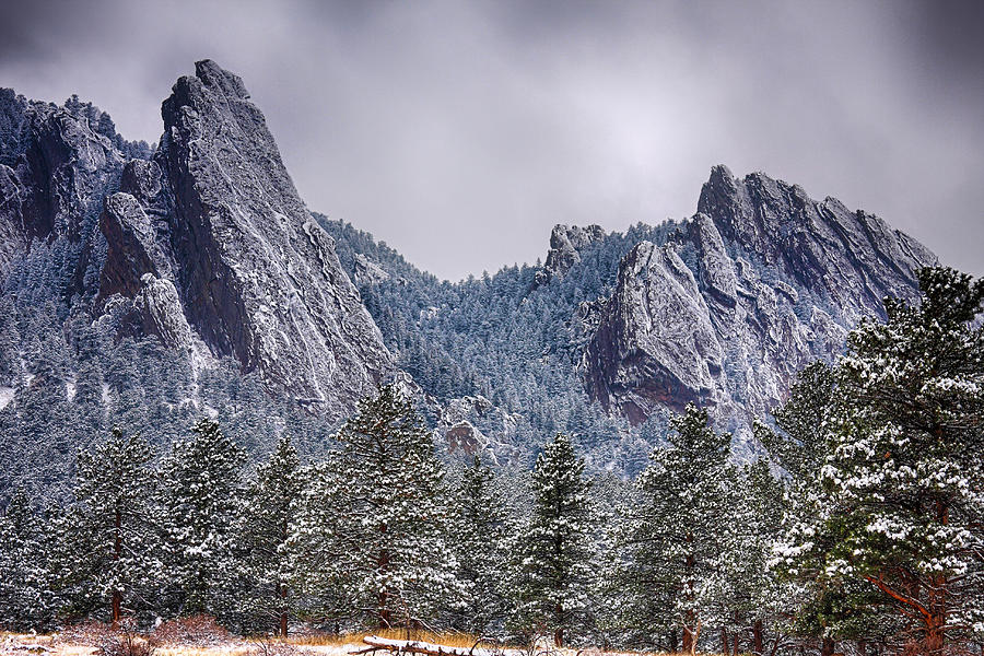 Dusted Flatiron Photograph by James BO Insogna