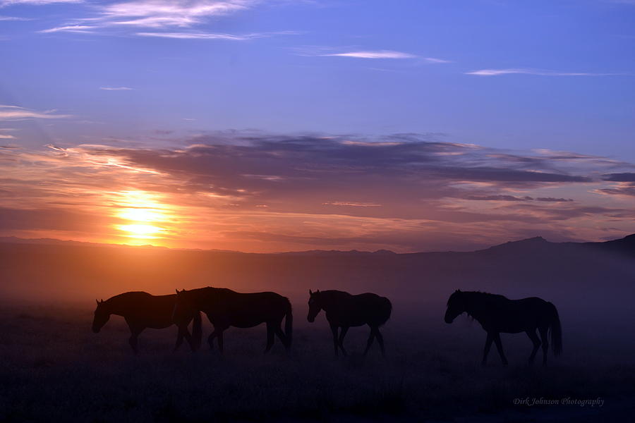 Dusty Dusk Mustangs  Photograph by Dirk Johnson