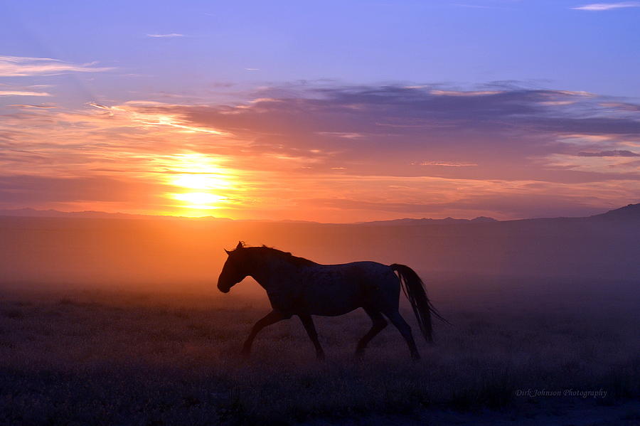 Dusty Mustang Sun Photograph by Dirk Johnson
