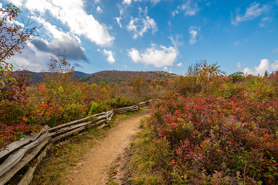 Dusty Trail Photograph by Justin Askew Fine Art America
