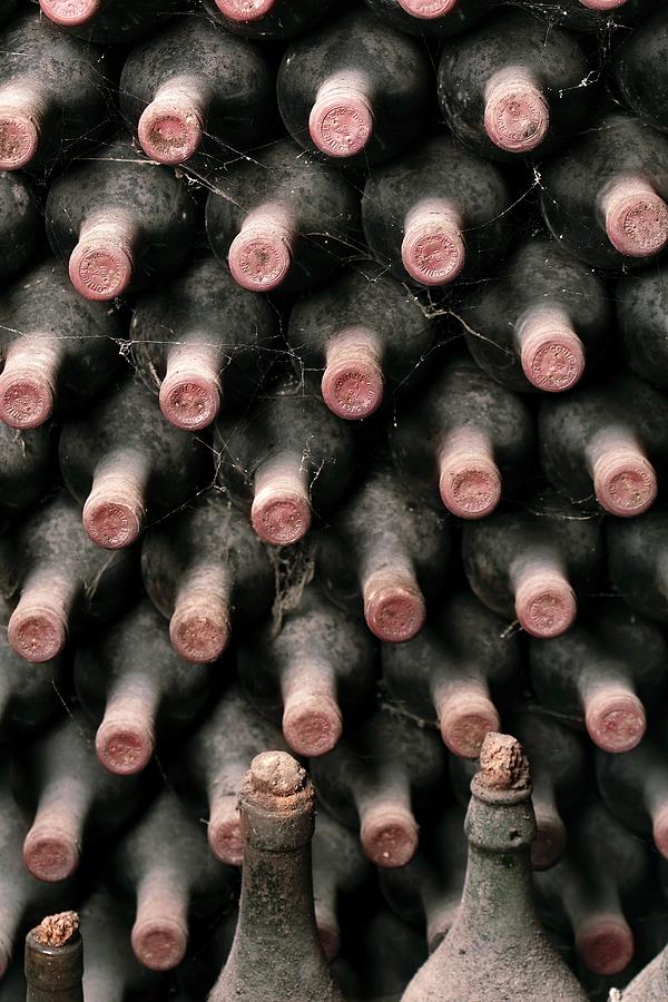 Dusty Wine Bottles Photograph by Mauro Fermariello