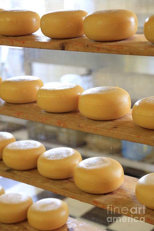 Cheese Photograph - Dutch Cheese by Carol Groenen
