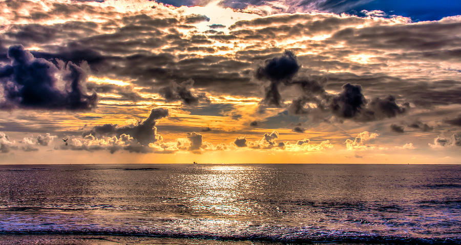 Dutch Coast Photograph by Alex Hiemstra