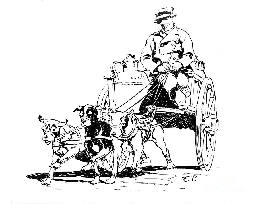 Dutch Dog Cart 1884 Photograph by Padre Art