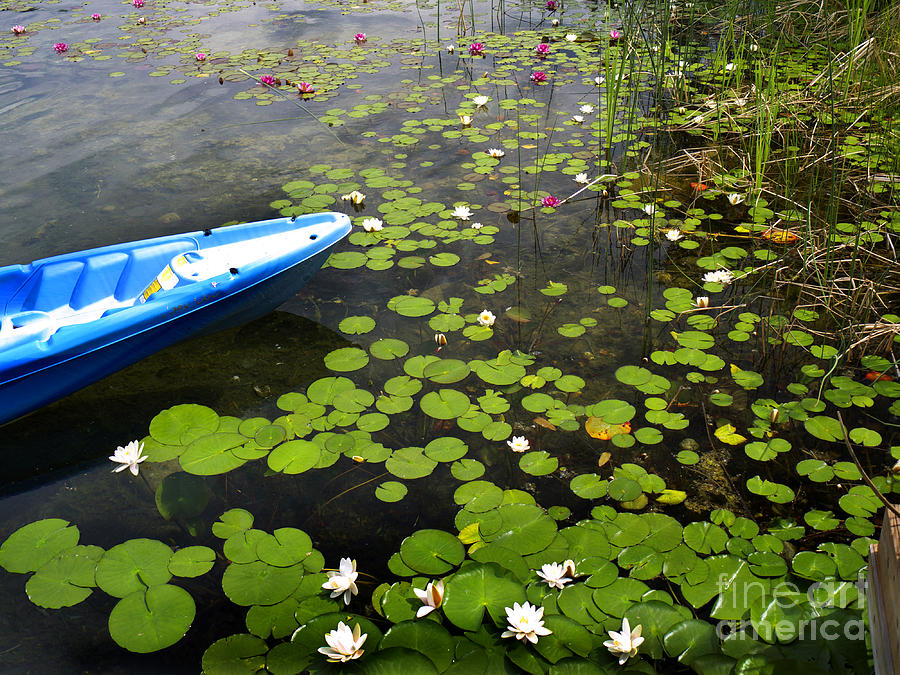 Dutch Lake Photograph by Brenda Kean