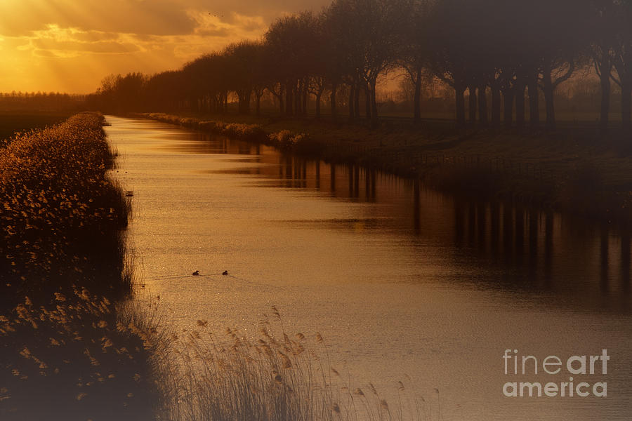 Dutch landscape Photograph by Nick  Biemans