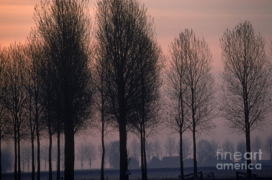 Dutch Morning Photograph by Kees Van Den Berg