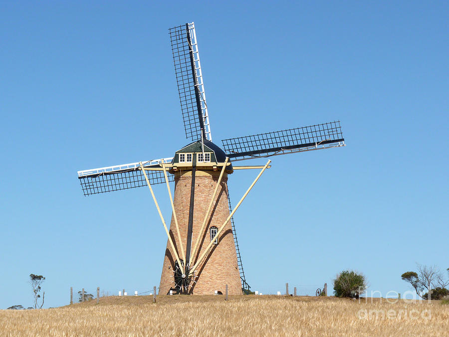 Dutch Windmill - Western Australia Photograph by Phil Banks