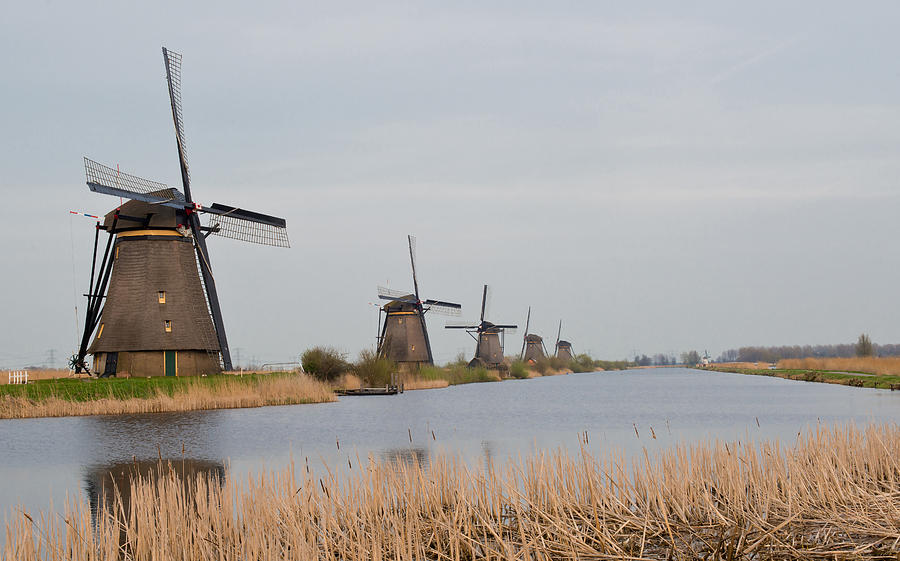 Dutch Windmills Photograph by Michael Lustbader