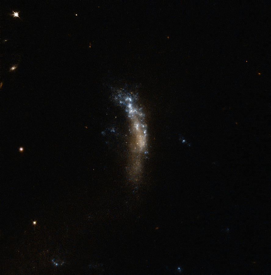 Dwarf Galaxy Ugc 5189a Photograph by Science Source
