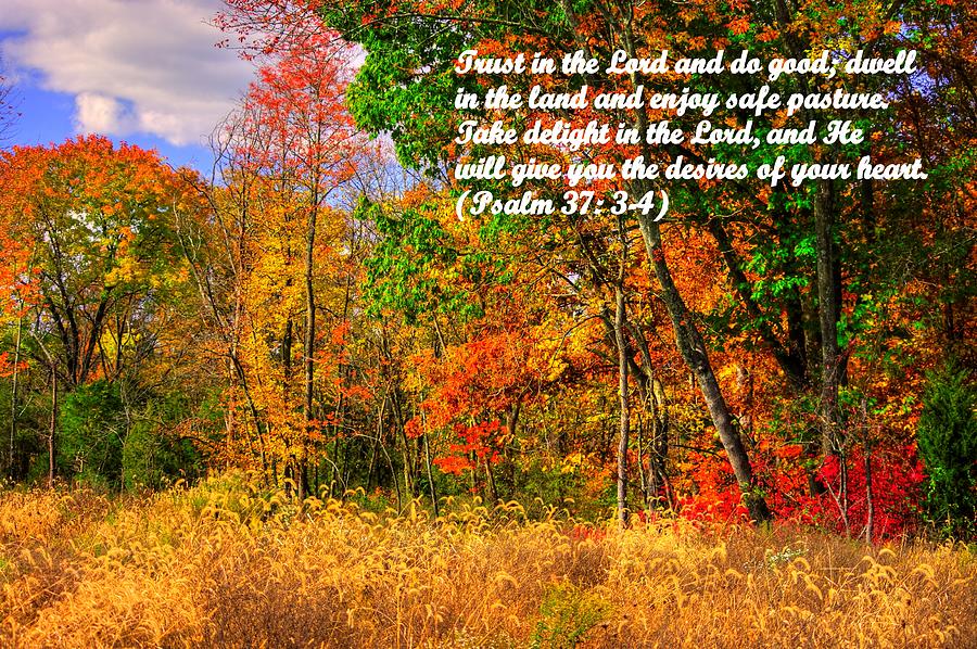 Dwell in the Land and Enjoy Safe Pasture .... Take Delight in the Lord - From Psalm 37.3-4 Photograph by Michael Mazaika