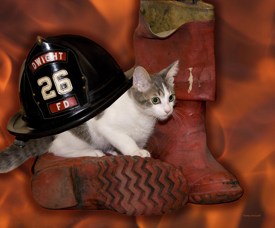 Dwight Fire Department Kitty Photograph by Thomas Woolworth