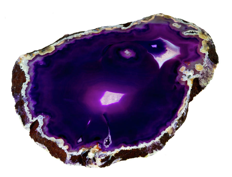 Dyed Agate Slice Photograph by Natural History Museum, London/science Photo Library