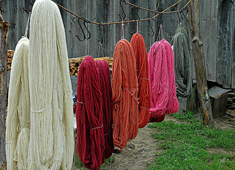 Dyed And Hung To Dry Photograph by Bruce Carpenter