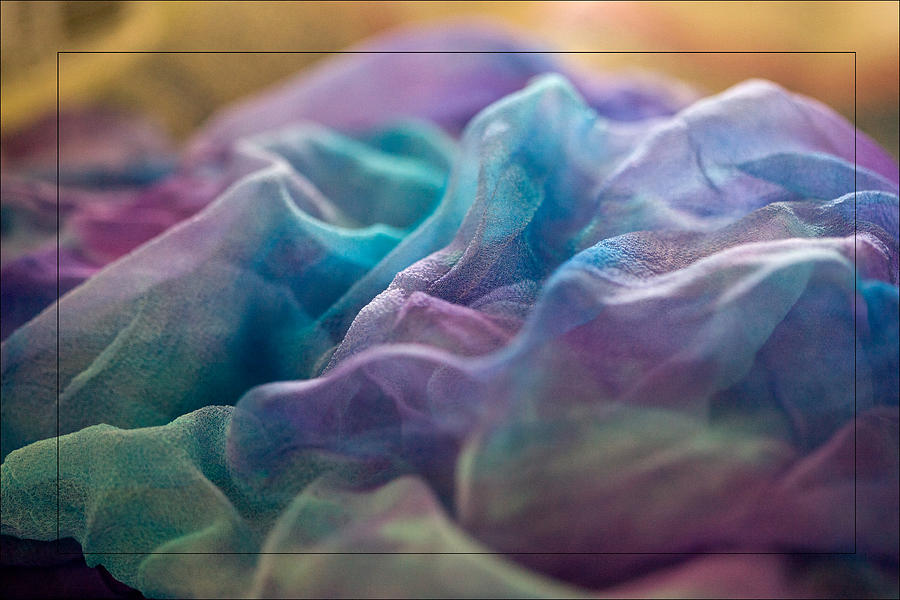 Fabric Photograph - Dyed Silk by Liz  Alderdice