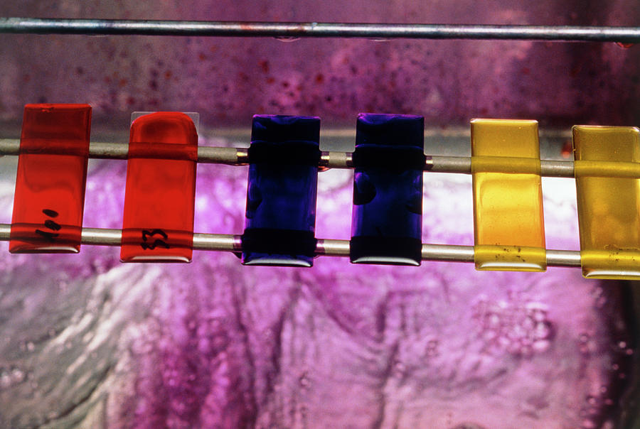 Dyes For Biological Staining During Microscopy Photograph by Klaus Guldbrandsen/science Photo Library