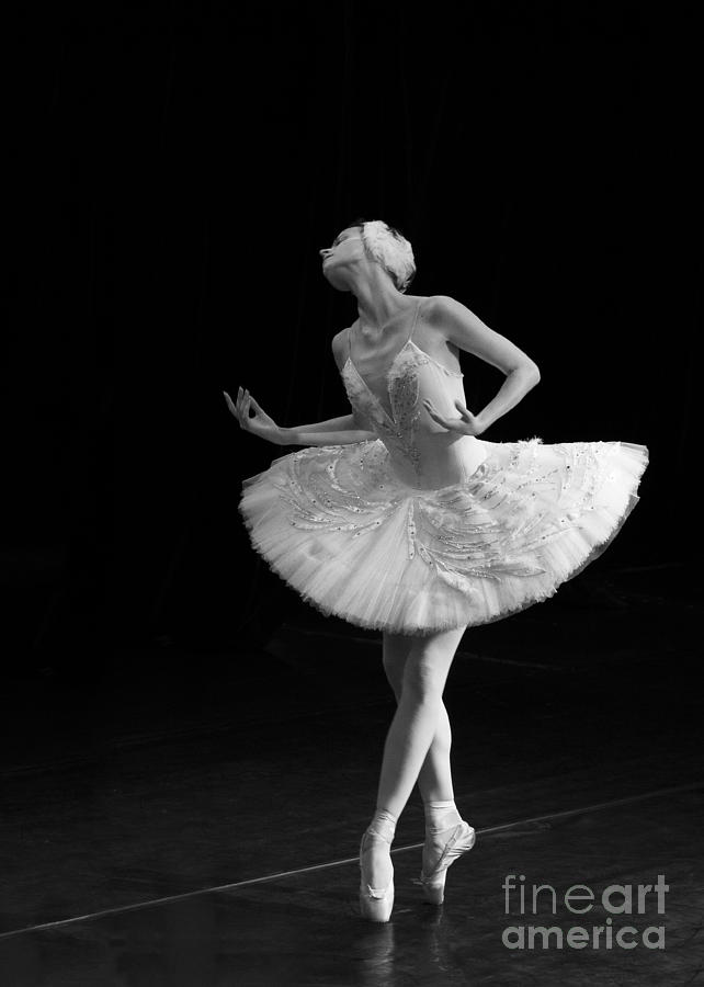 Dying Swan 3. Photograph by Clare Bambers