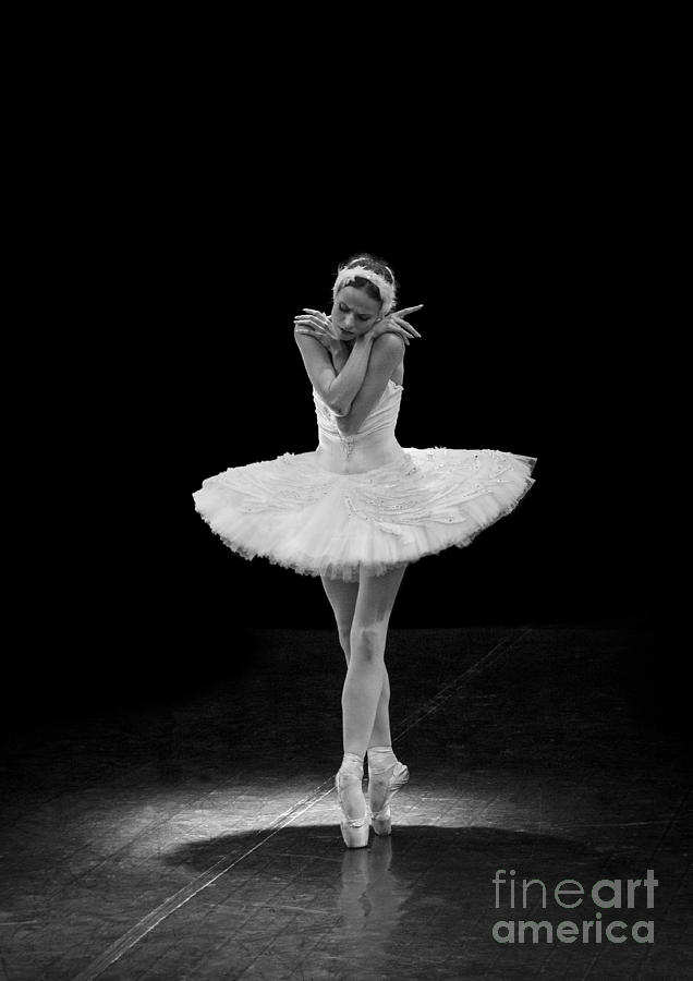 Dying Swan 5. Photograph by Clare Bambers