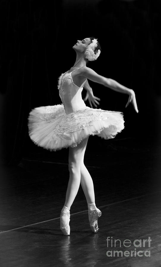 Ulyana Lopatkina, «The Dying Swan» – © Nikolay Krusser | Ballet: The Best  Photographs