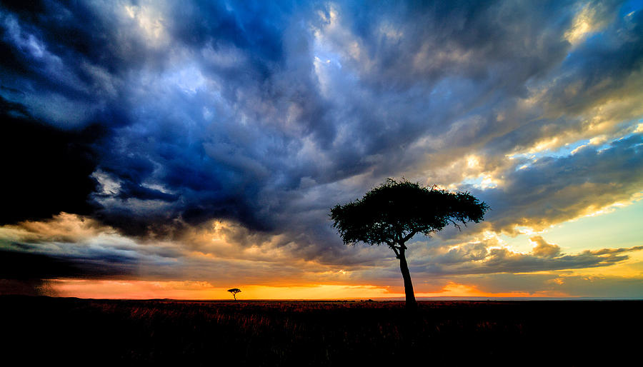 dynamic Mara sky Photograph by Mike Gaudaur