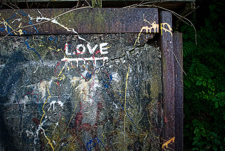 Dysfunctional Love Photograph by Rick Mosher