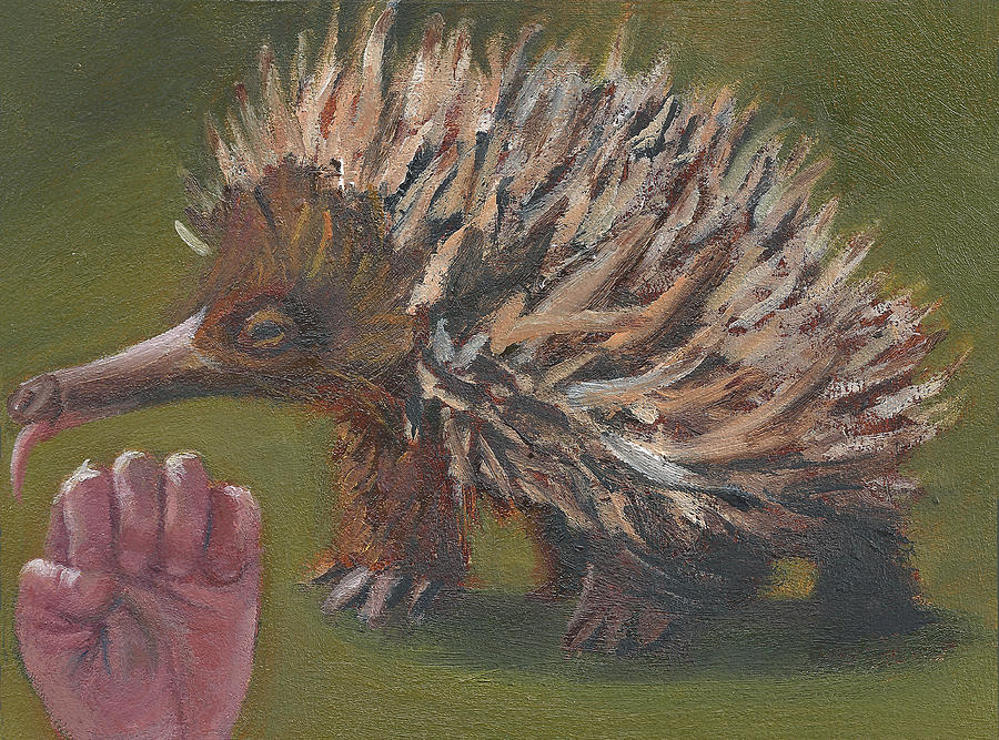 E is for Echidna Painting by Jessmyne Stephenson