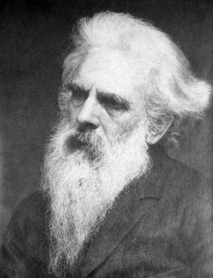 Eadweard Muybridge (1830-1904) Photograph by Granger - Pixels