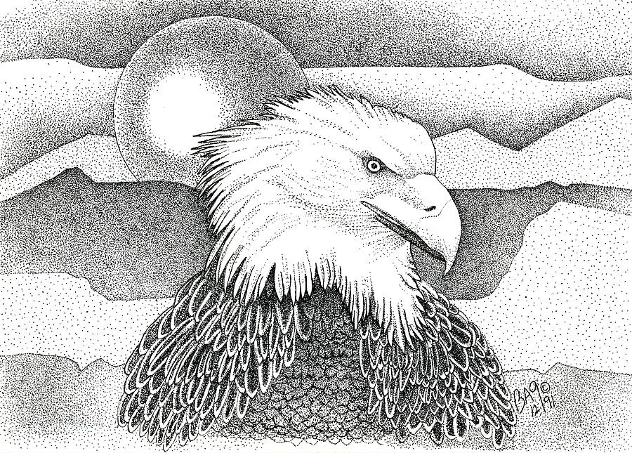 Eagle 01 Drawing by Brian Gilna