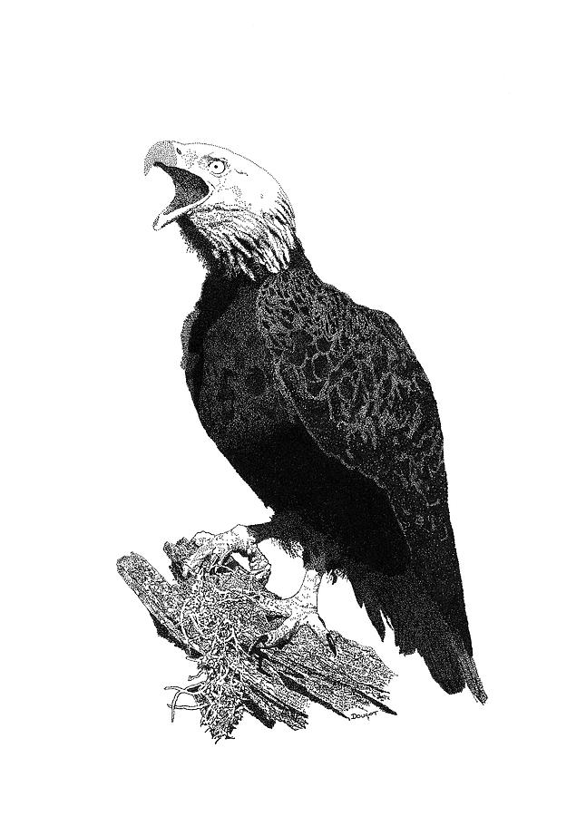 Eagle 1 Drawing by David Doucot