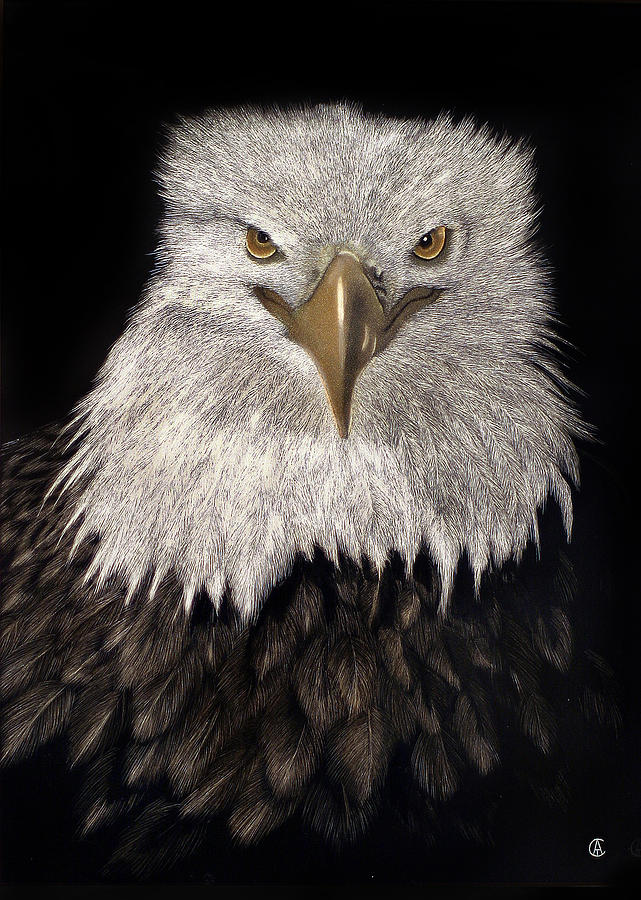 Eagle Painting by Angie Cockle
