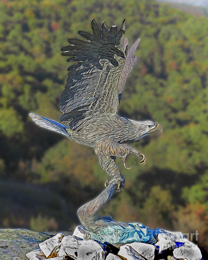 Eagle at Rock City Photograph by Dawn Gari