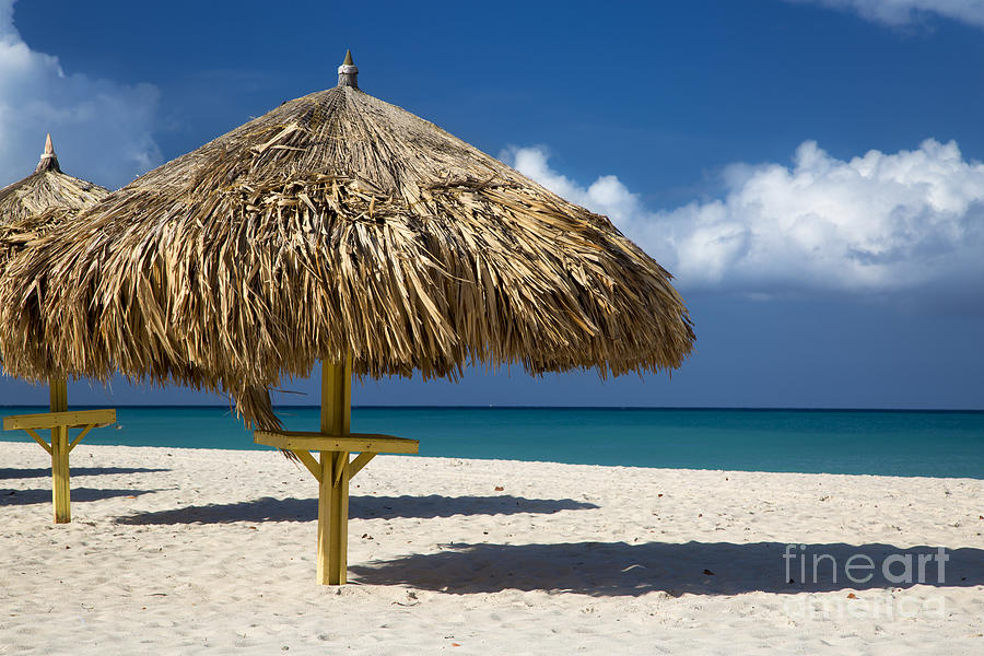 Eagle Beach - Aruba Photograph