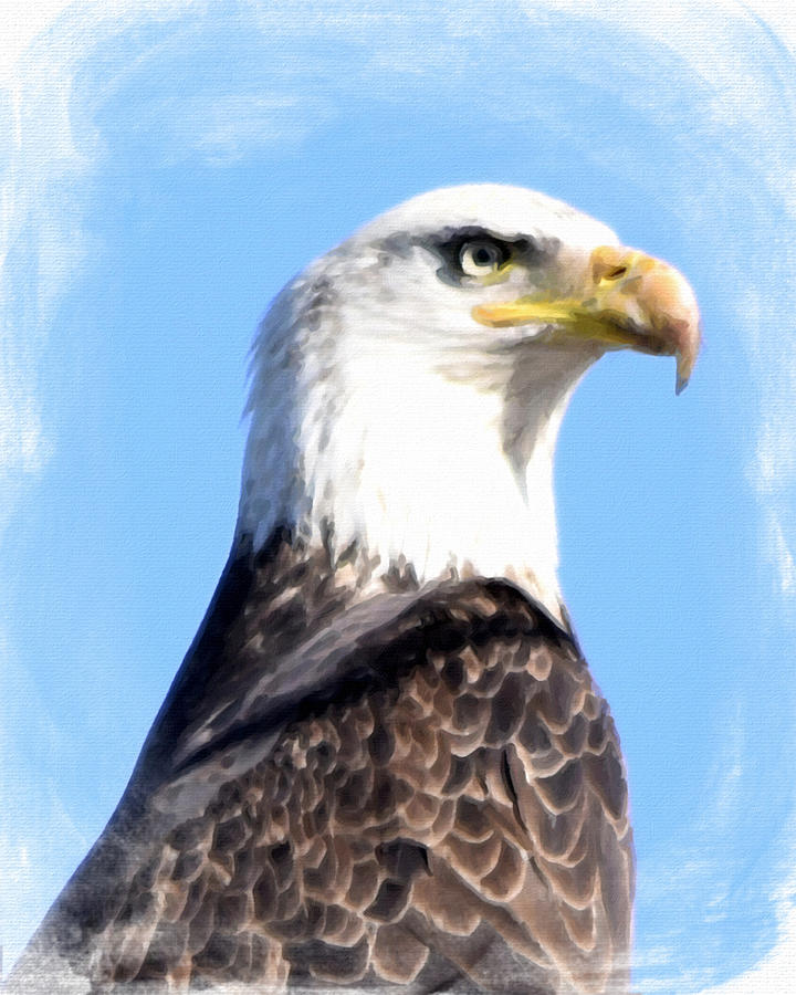 Eagle  Painting by Bonnie Bruno