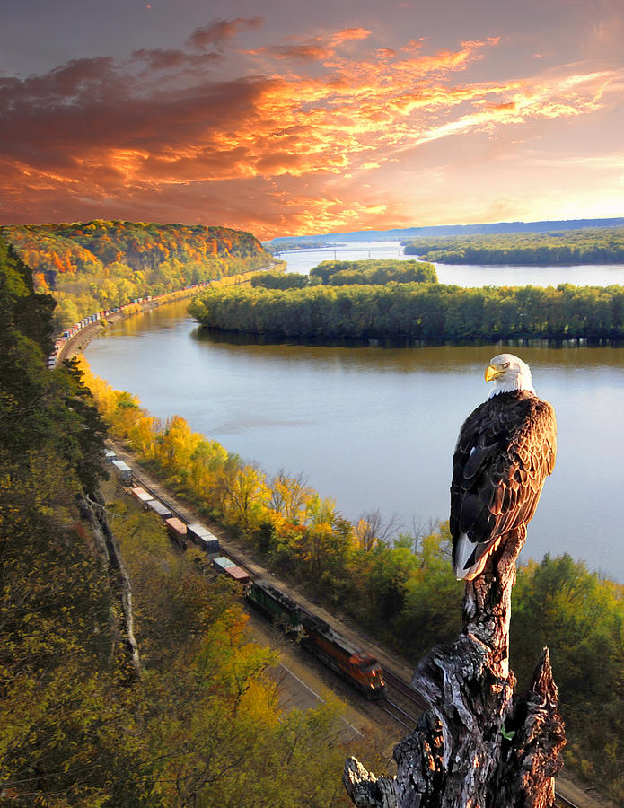 Eagle Domain Photograph by Randall Branham