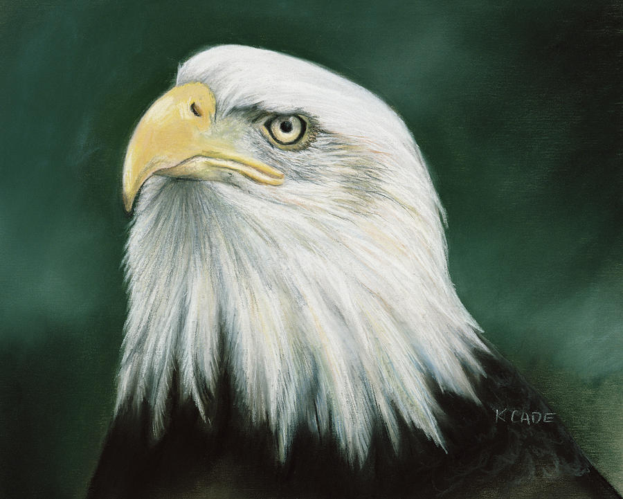Eagle Pastel - Eagle Eye by Karen Cade