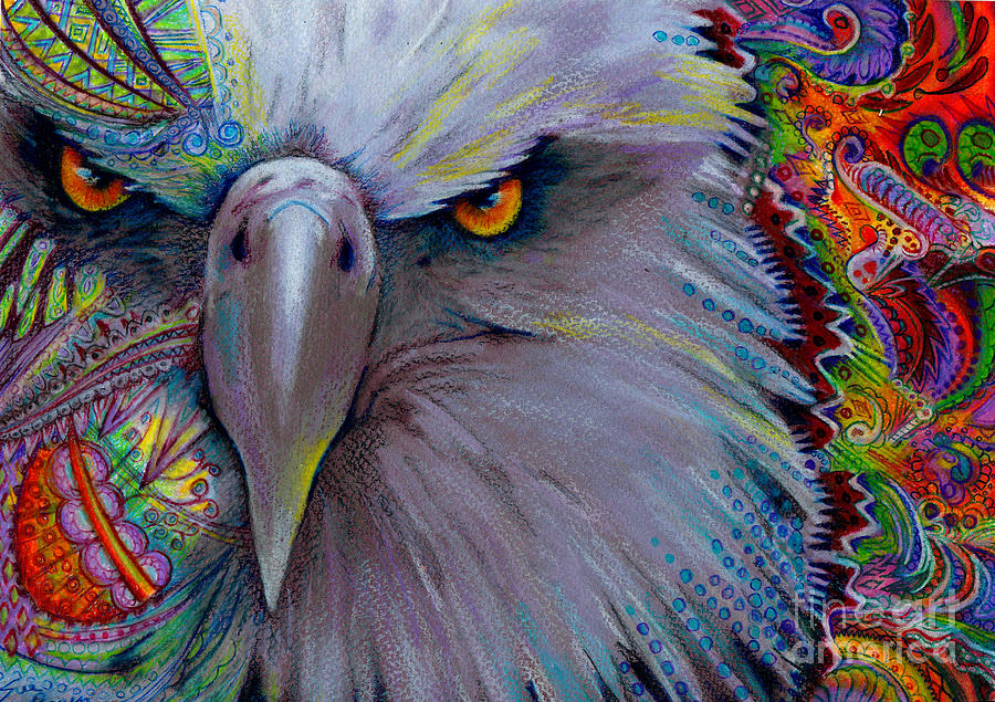 Eagle Eye Drawing by Sue Perez. 