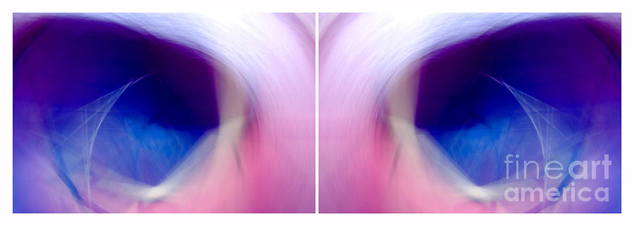 Eagle Photograph - Eagle Eyes - Diptych by Douglas Taylor