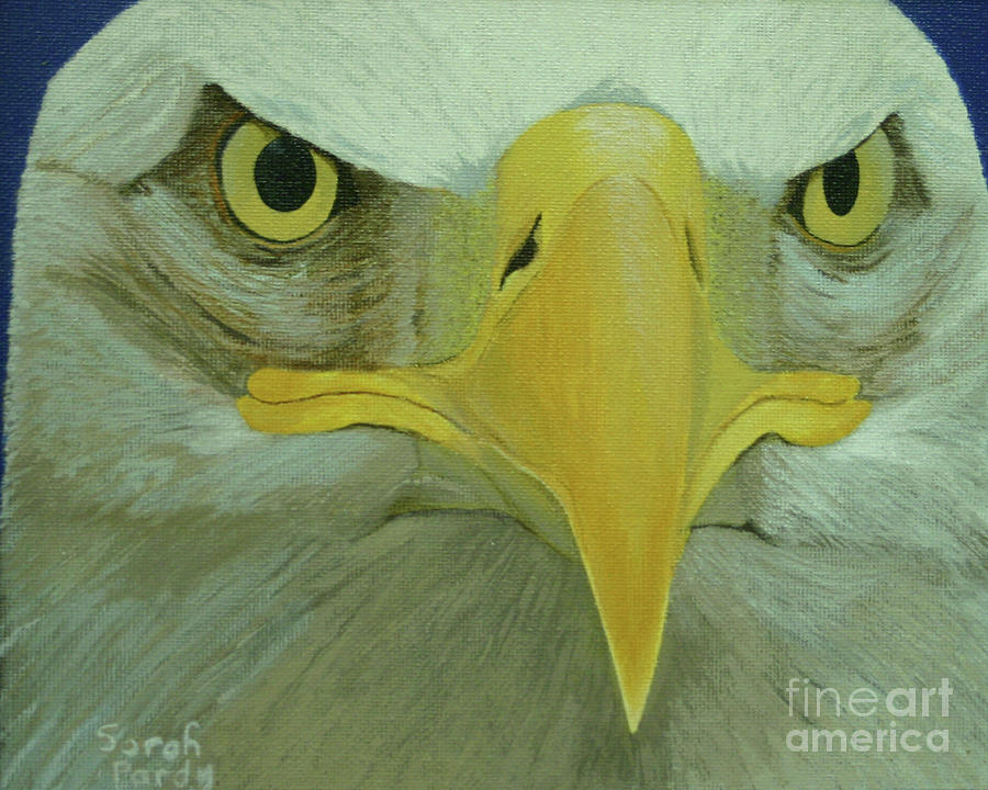 Eagle Eyes Painting by Margaret Sarah Pardy
