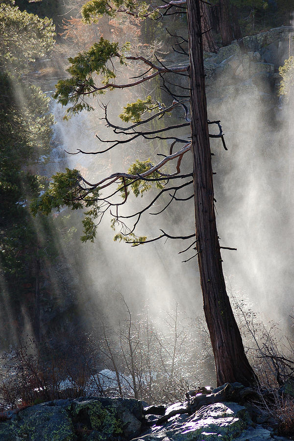 Bear Photograph - Eagle Falls Mist by Ernie Claudio