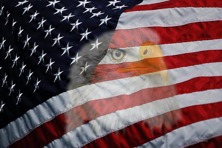 Eagle Flag Digital Art by Joe Granita