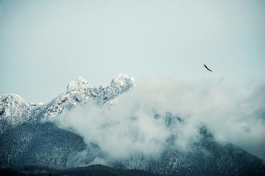 Eagle Flies Above Snow Covered Peaks Photograph by Dylan Lucas Gordon Eagle Flies Above Snow Covered Peaks Photograph by Dylan Lucas Gordon