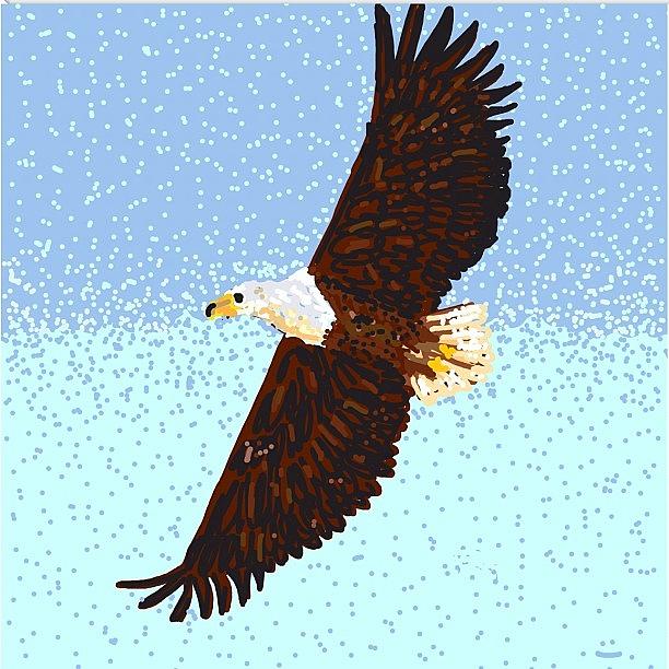 Eagle Photograph - Eagle flight by David Burles