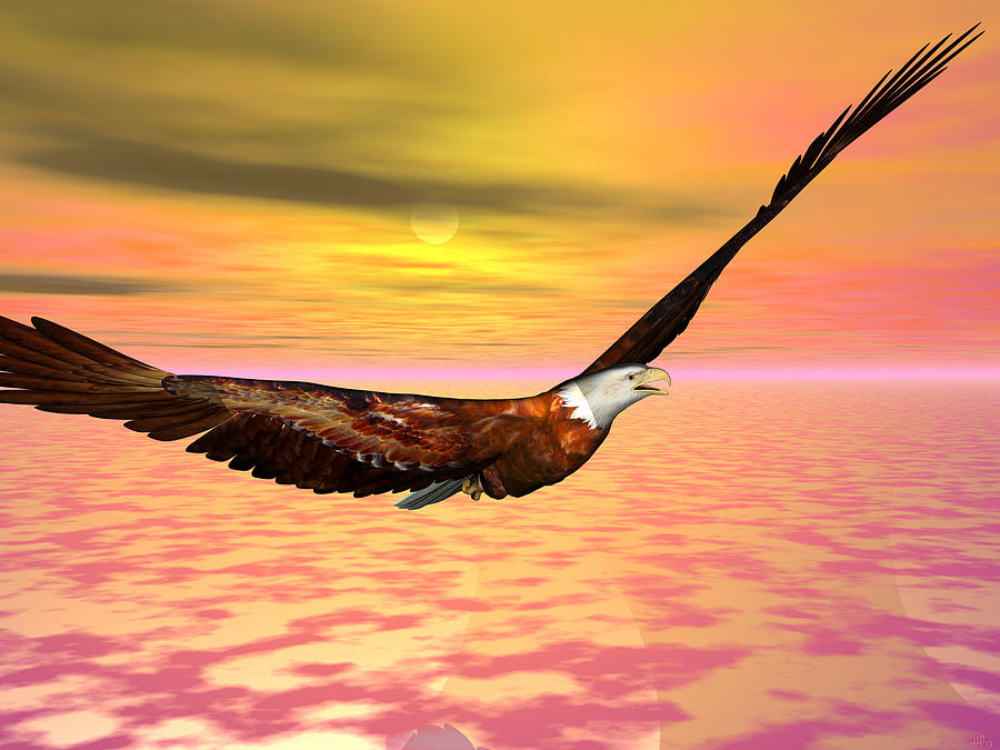 Eagle Flight Digital Art by Michele Wilson