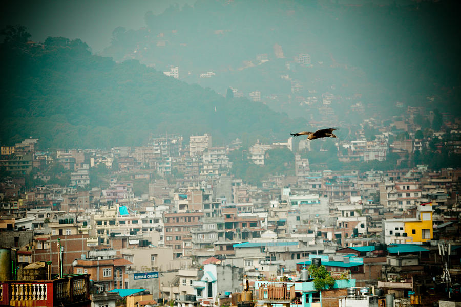Eagle fly about Kathmandu Photograph by Raimond Klavins