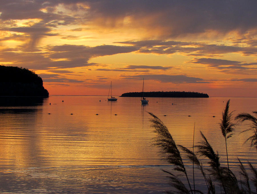 Eagle Harbor Sunset 2 Photograph by David T Wilkinson