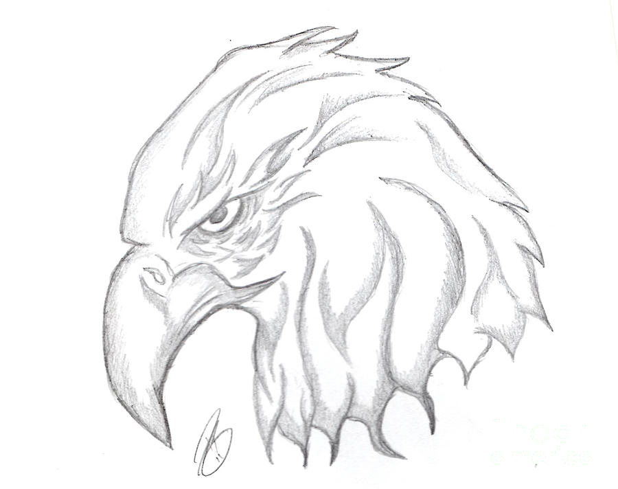 how to draw an eagle head step by step