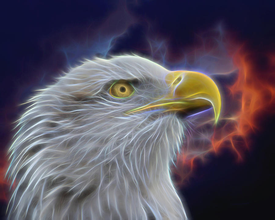 Eagle Head In Clouds Digital Art Digital Art by Ernest Echols