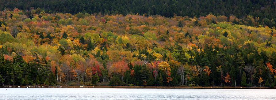 Eagle Lake Fall Foliage Photograph by Stuart Litoff